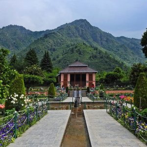 Chashme Shahi Garden golden wheels
