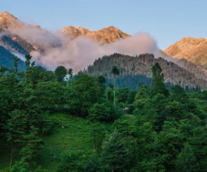 kashmir