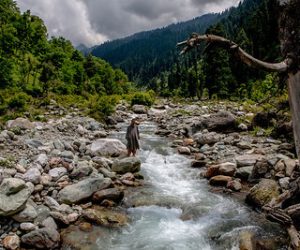 Chatpal kashmir golden wheels