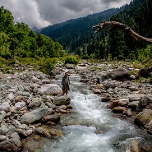 Chatpal kashmir golden wheels