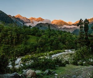 Chatpalkashmir golden wheels