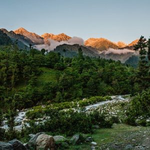 Chatpalkashmir golden wheels
