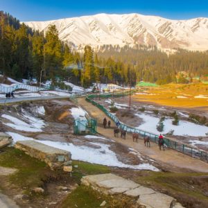 Gulmarg Group Tour Packages golden wheels