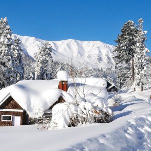 Gulmarg snow festival golden wheels