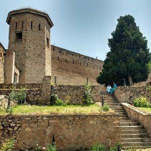 Hari Parbat Fort golden wheels