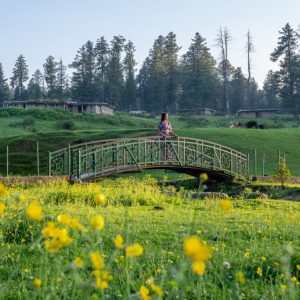 Best Time to Visit Yousmarg