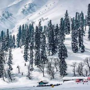 Kashmir in December golden wheels