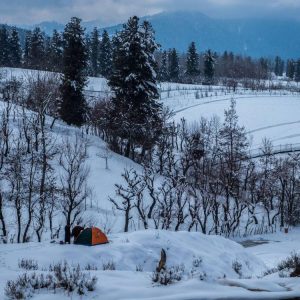 Kashmir in January