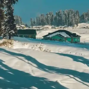 Kashmir in December golden wheels