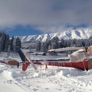 Kashmir Heliskiing golden wheels