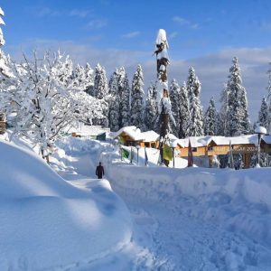 Kashmir in Winter golden wheels