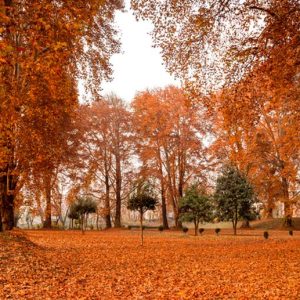 How to Plan Kashmir Tour in November