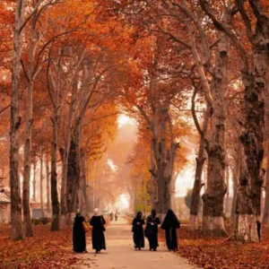How to Plan Kashmir Tour in November