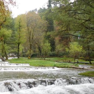 Kokernag Kashmir golden wheels