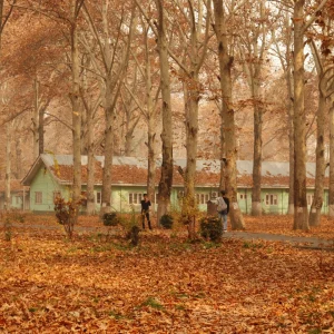How to Plan Kashmir Tour in October
