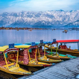 Shikara boats floating on Dal Lake