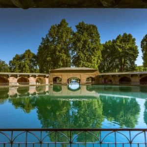 Verinag Spring and Garden golden wheels