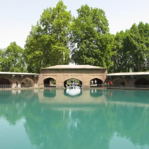 Verinag Spring and Garden golden wheels scaled