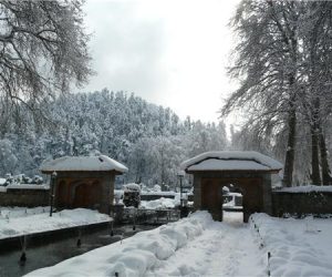 achabal pahalgam golden wheels