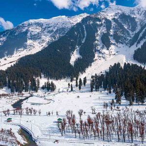 betaab valley kashmir golden wheels