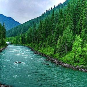 betaab valley kashmir golden wheels