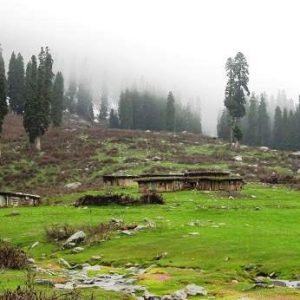 bota pathri gulmarg golden wheels