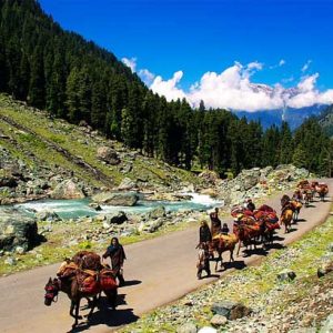 chandanwari pahalgam golden wheels