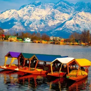 cropped Kashmir Shikara Houseboat golden wheels