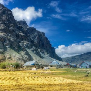 drass valley ladakh golden wheels