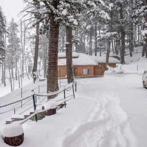 gulmarg in winter golden wheels