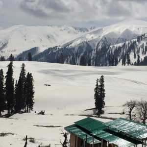 gulmarg kashmir golden wheels