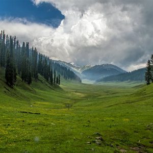 lolab valley kupwara golden wheels