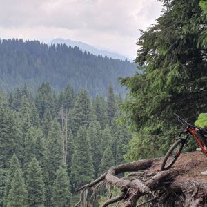 mountain biking in kashmir valley