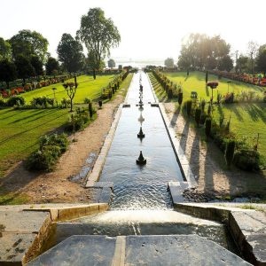 nishat bagh kashmir golden wheels