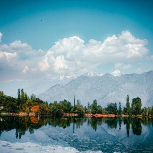 pexels umarandrabi 16443719