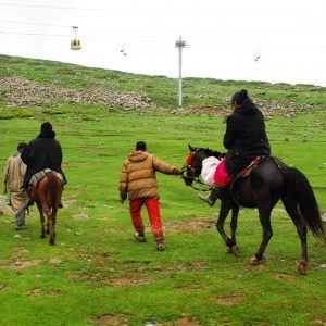 pony rides gulmarg by Travelsite India