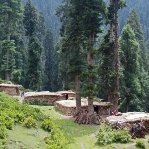 teetwal valley kashmir golden wheels